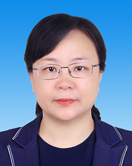 副省长：张国智