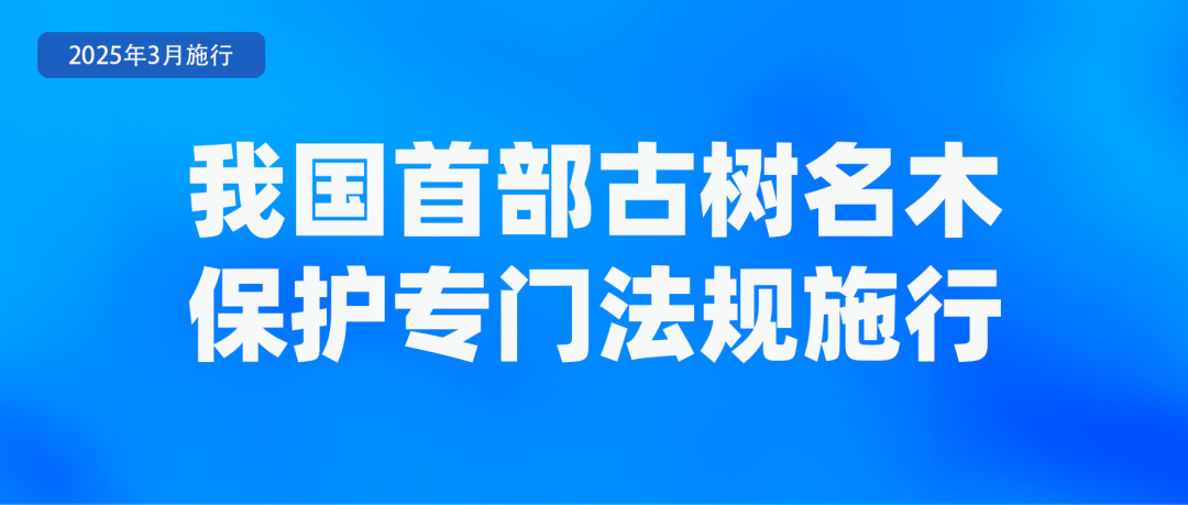 图3.png